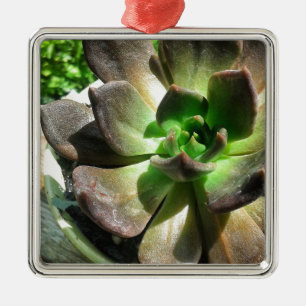 Ornamento De Metal Príncipe Negro #suculento