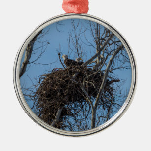 Ornamento De Metal Problemas de Águia Dupla