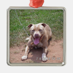 Ornamento De Metal Produtos do pitbull