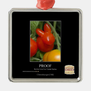 Ornamento De Metal Prova