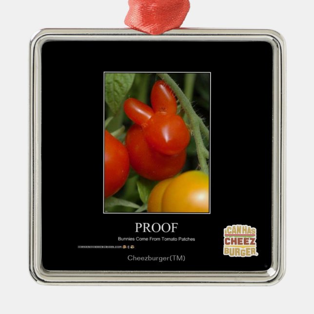 Ornamento De Metal Prova (Frente)