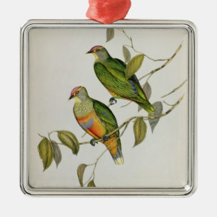 Ornamento De Metal Ptilinopus Ewingii