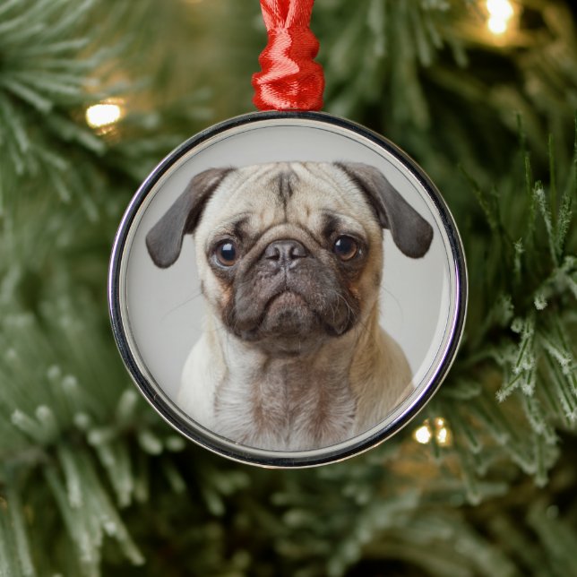Ornamento De Metal Pug Portrait (Árvore)