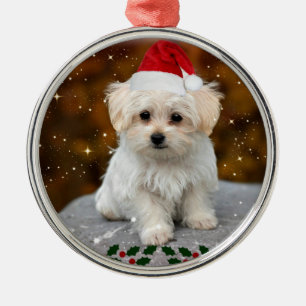 Ornamento De Metal Puppy de Natal maltês