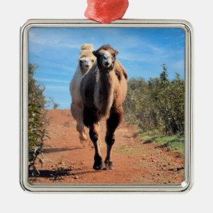 Ornamento De Metal Purnimama & Delany