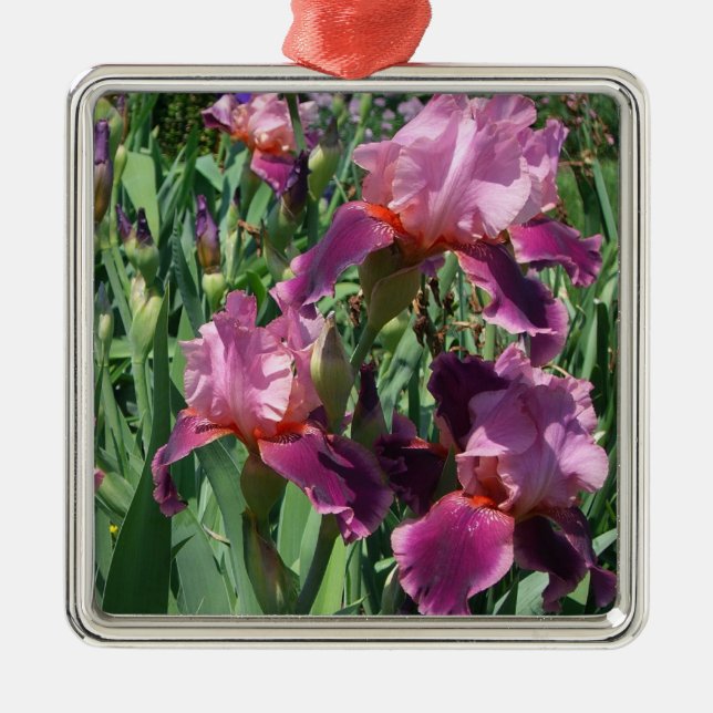 Ornamento De Metal Purple Irises Primavera Floral (Frente)