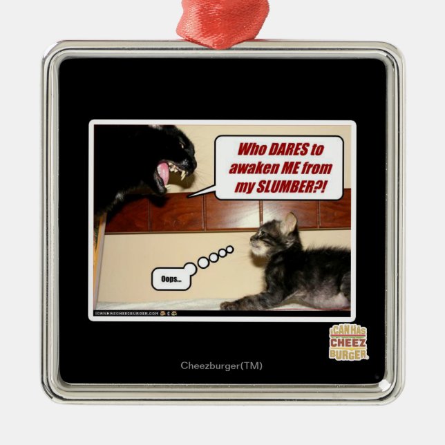 Ornamento De Metal Quem se atreve a me acordar? (Frente)