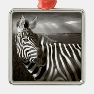 Ornamento De Metal Quênia. Preto e branco de zebra e planície.