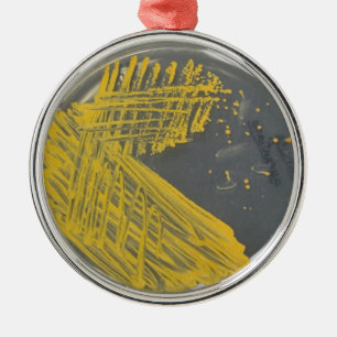 Ornamento De Metal Raia do isolamento das bactérias