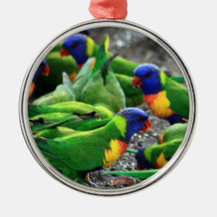 Ornamento De Metal Rainbow Lorikeets australiano