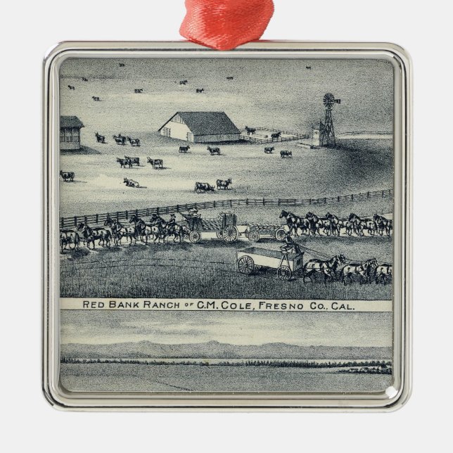 Ornamento De Metal Ranches do Cole (Frente)