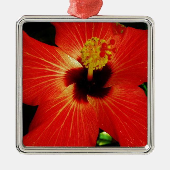 Ornamento De Metal Red Hibiscus (Frente)