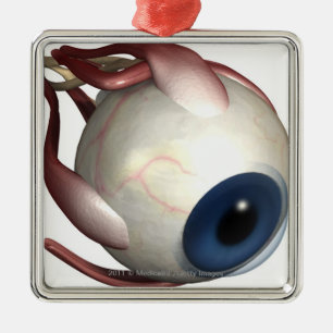 Ornamento De Metal Rendição realística dos músculos do olho