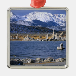 ORNAMENTO DE METAL RESERVA NATURAL DO ESTADO DE TUFA DO LAGO MONO,