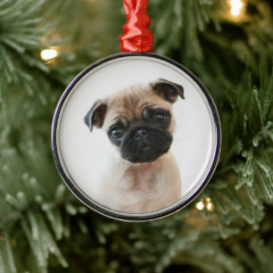 Ornamento De Metal Retrato de Baby Pug