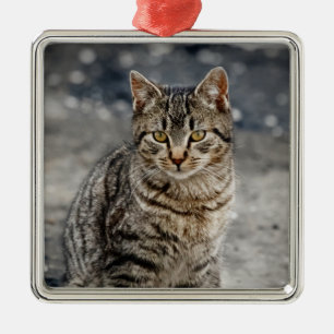 Ornamento De Metal Retrato de um gato