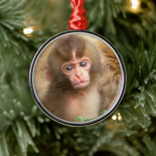 Ornamento De Metal Retrato do Bebê Macaco da Neve