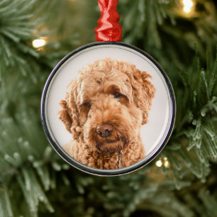 Ornamento De Metal Retrato do Goldendoodle Studio