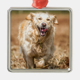 Ornamento De Metal Retriever de ouro