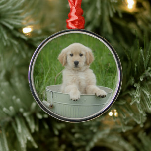 Ornamento De Metal Retriever De Ouros Em Lavagem