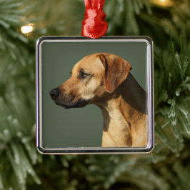 Ornamento De Metal Rhodesian Ridgeback