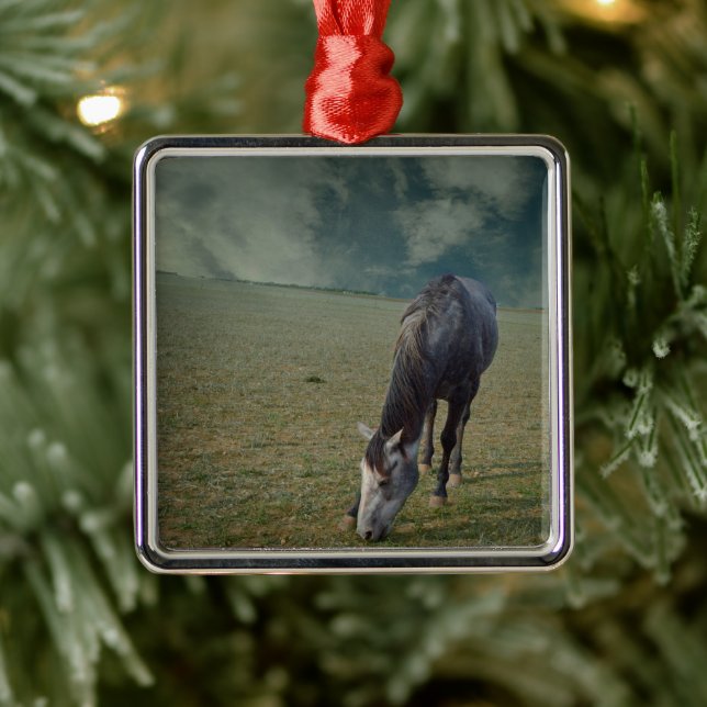 Ornamento De Metal Roan Horse Grazing Em Paddock (Árvore)