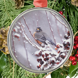 Ornamento De Metal Robin Americano Guerreiro No Inverno