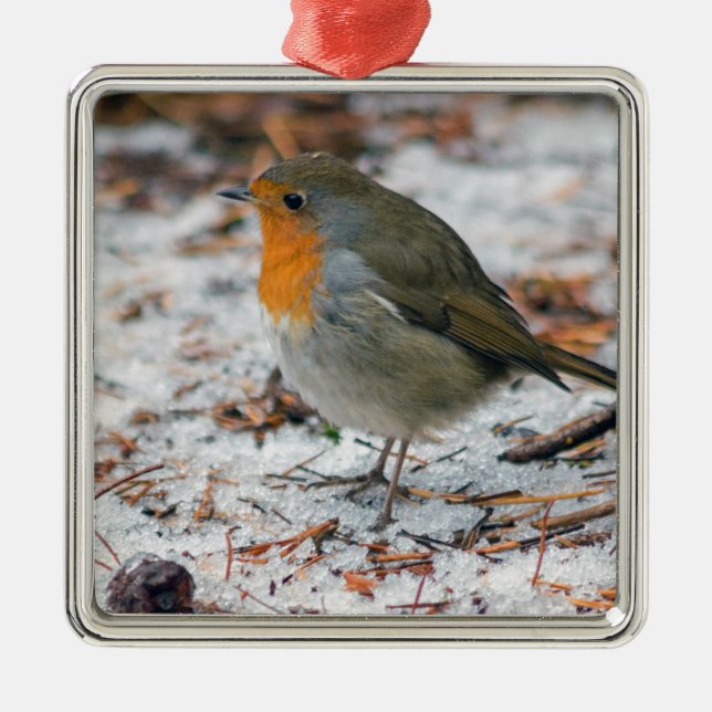 Ornamento De Metal Robin Bauble (Frente)