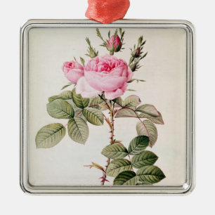 Ornamento De Metal Rosa Bifera Officinalis, 'dos rosas de Les