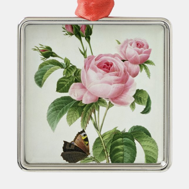 Ornamento De Metal Rosa Centifolia (Frente)