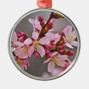 Ornamento De Metal Rosa Contra Um Céu Cinza Flor de Cerejeira Japones