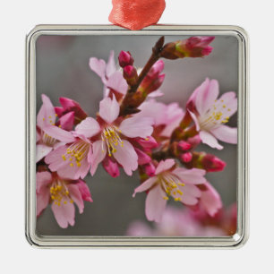 Ornamento De Metal Rosa Contra um Céu Cinza Flor de Cerejeira Japones