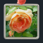 Ornamento De Metal Rosa de Blush Laranja<br><div class="desc">Rosas cor de laranja/pêssego do velho país clássico da moda romântica</div>