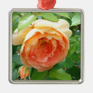 Ornamento De Metal Rosa de Blush Laranja