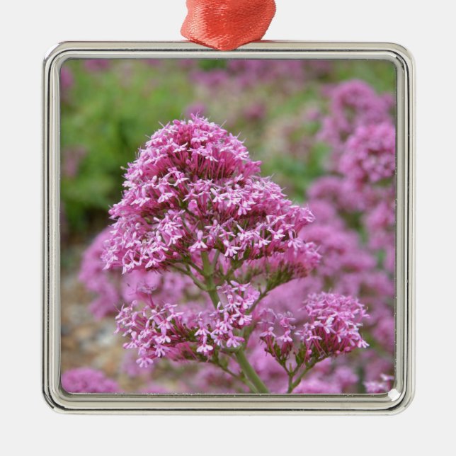 Ornamento De Metal Rosa-do-mar (Frente)