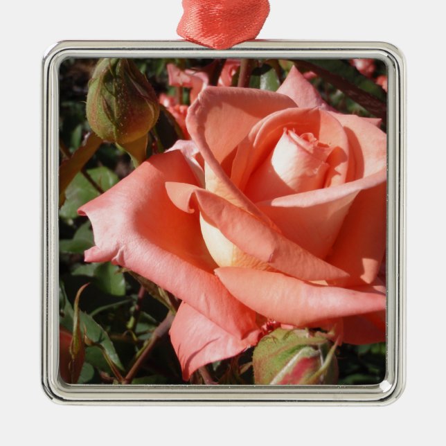 Ornamento De Metal Rosa Rosa Peachada (Frente)