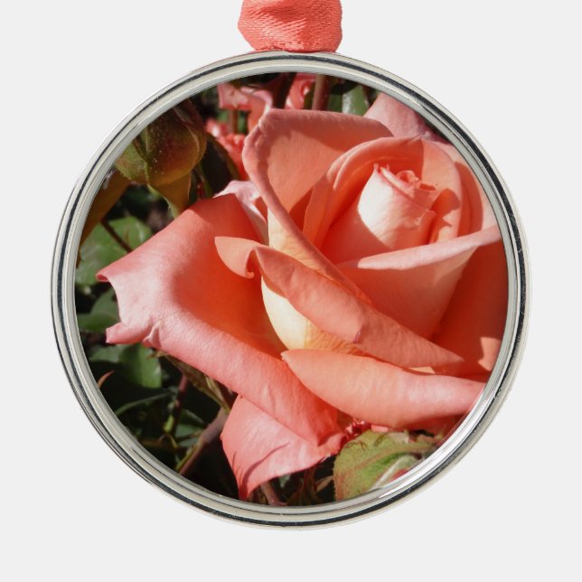 Ornamento De Metal Rosa Rosa Peachada (Frente)