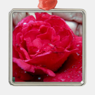 Ornamento De Metal Rosa vermelha