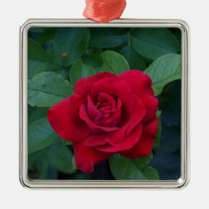 Ornamento De Metal Rosa Vermelha de Perto