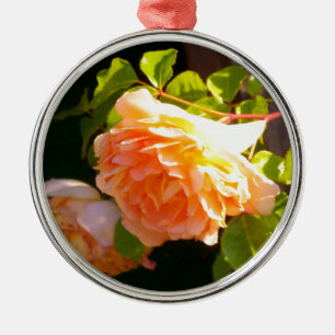 Ornamento De Metal Rosas de Pêssego do País