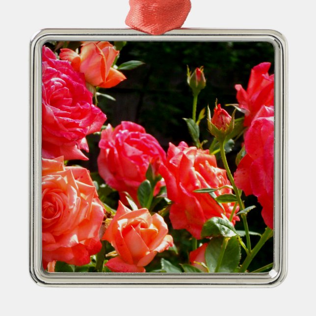 Ornamento De Metal Rosas Românticos de Coral (Frente)