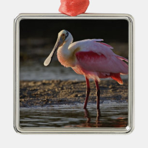 Ornamento De Metal Roseate Spoonbill, Ajaia ajaja, Querido Ding