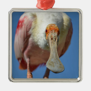 Ornamento De Metal Roseate Spoonbill com seu bico grande