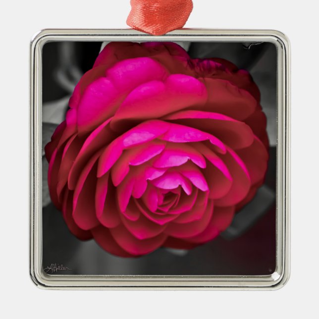 Ornamento De Metal Rosy Camellia (Frente)