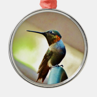 Ornamento De Metal Ruby e pequeno beija-flor-verde