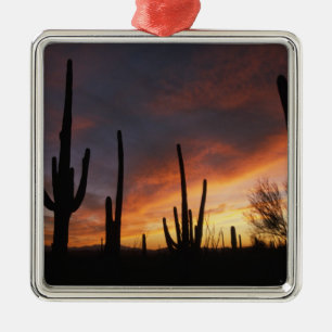 Ornamento De Metal saguaro cactos, Carnegiea gigantea, depois