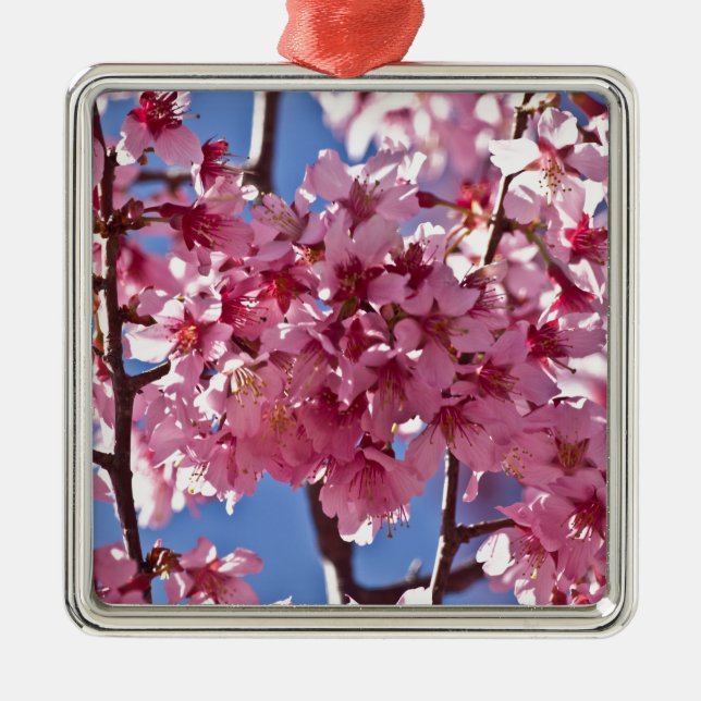 Ornamento De Metal Sakura Cherry Blossoms Red Stars (Frente)