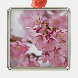 Ornamento De Metal Sakura Cherry Blossoms Rosa Pálido