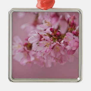Ornamento De Metal Sakura Flores de Cerejeira Rosa Pálido Reflexos
