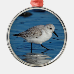 Ornamento De Metal Sanderling Strolling na praia